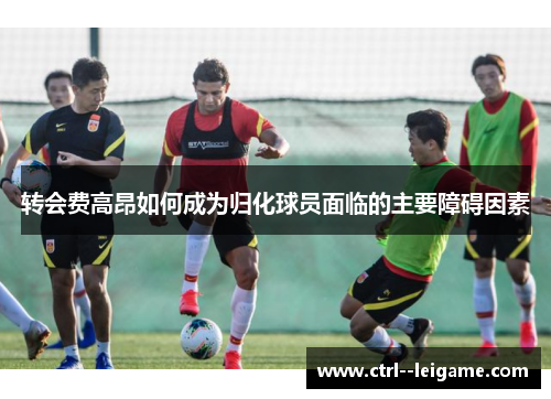 转会费高昂如何成为归化球员面临的主要障碍因素 转会费高昂如何成为归化球员面临的主要障碍因素